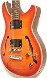 Semi Hollow Electric Guitar with Flamed Maple Top