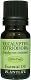 Eucalyptus Citriodora  100% Pure Essential Oil   10 ml