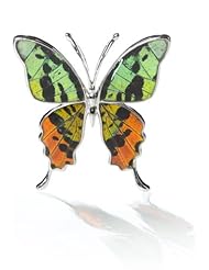 Wings of Fancy, Reversible Sunset Moth & Common Bluebottle Butterfly Pendant, .925 Sterling Silver, Rhodium Plated