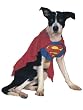 Superman Dog Costume Superhero Pet Dog Costume Costume Pet Lovers