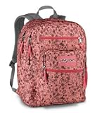  : JanSport Big Student Backpack (Pink Shimmer Doodle)