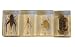 Bug Specimens (Cricket, Locust, Yellow Leaf Beetle, Crab)