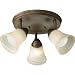Progress Lighting P3856-86WB 3-Light Directional Close-To-Ceiling, Burnished Chestnut