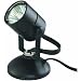 Good Earth Lighting #G19920-BK-I Black Halo Spot Light