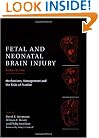 Fetal and Neonatal Brain Injury: Mechanisms, Management and the Risks of Practice