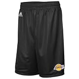 Los Angeles Lakers Black Large Logo Mesh Shorts