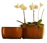 Pacific Heights Collection Orchid Pot (Set of 2)