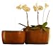Pacific Heights Collection Orchid Pot (Set of 2)