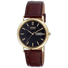 Citizen Herrenarmbanduhr BM8243-05EE