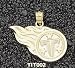 Tennessee Titans Fireball Logo 5/8