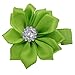 Grosgrain Ribbon Wrapped Alligator Baby Hair Bow Flower Clips (10 Pairs)