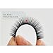 Lashview Semi-permanent Mink Eyelash Extensions Individual Eyelashes 0.20 C 12 Rows