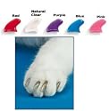 Cat Soft Claws Natural Kitten Feline <5LB