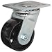 E.R. Wagner Plate Caster, Swivel, Cast Iron Wheel