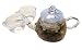 Glass Teapot or Coffee Pot for Great Tasting with Clear Clean Design