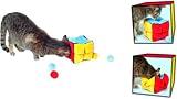 The Cube Cat Toy