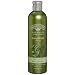 Nature's Gate Organics Shampoo,Tea Tree Oil & Blue Cypress, 12-Ounce Bottles (Pack of 3)