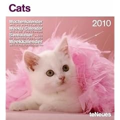 Katzen 2010. Wochenkalender: Mit Spr�chen