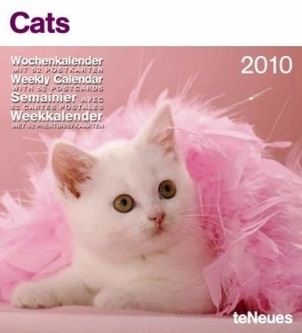 2010 Cats Weekly Postcard Calendar