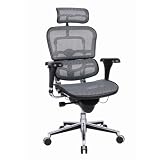 High Back Ergonomic Mesh Chair with Headrest Black Mesh/Chrome Frame