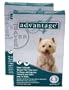 12 MONTH Advantage Flea Control Teal: For Dogs 11-20lbs.