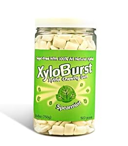Xyloburst Spearmint Gum Jar, 500 Count
