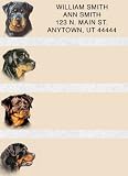 Personalized Custom Return Address Labels: Rottweiler Booklet of 150 Address Labels
