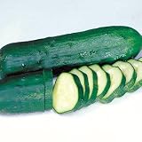 Cucumber Marketmore Certified Organic Seeds