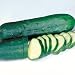 Cucumber Marketmore Certified Organic Seeds