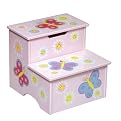 Guidecraft Butterfly Storage Step-Up