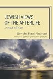 Jewish Views of the Afterlife 41z2VF9fTWL. SL160 Jewish Views of the Afterlife