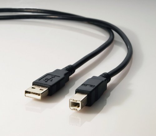 Mediabridge - Hi-Speed USB 2.0 Cable - 6ft - A-Male to B-Male