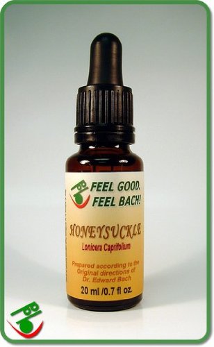 Feel Bach! flower Honeysuckle 20 ml