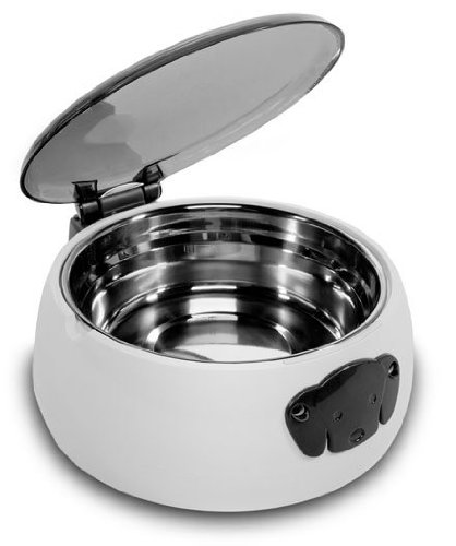 Auto Pet Food Dish