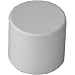 Genova Products 30155CP 1/2-Inch PVC Pipe Cap, Slip - 10 Pack