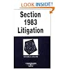 Section 1983 Litigation in a Nutshell (Nutshell Series) (In a Nutshell (West Publishing))