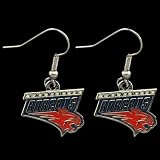 NBA Charlotte Bobcats Team Logo Dangle Earrings