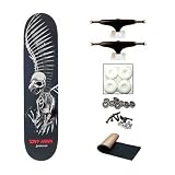 Tony Hawk Birdhouse Full Skull Complete Skateboard Deck New On Sale
