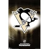 (22x34) Pittsburgh Penguins Logo 2010 Sports Poster Print