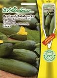 Eigenschaften Chrestensen  / Freiland-Salatgurke La Diva (Portion inkl. Stecketikett)