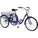 iZip 2008 Tricruiser Adult Electric Tricycle (24-Inch Wheels)