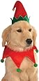 Rubies Costume Christmas Collection Pet Costume, Medium to Large, Elf Hat with Bell