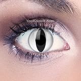 White Cat Contact Lenses