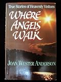 Where Angels Walk: True Stories of Heavenly Visitors