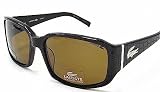 Lacoste - Lacoste LA12615P Brown Frame Polarized Sunglasses