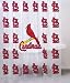 St. Louis Cardinals Shower Curtain
