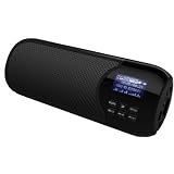 SimplyVibe SV-X7 (Black) Premium Rechargeable FM, MP3 Player and Portable Speakers w/ DSP Bass for iPad, iPod, iTouch, iPhone, Laptops (Mac/ PC) and Mobile Devices (10 hr Li Battery) - Accepts USB/Micro SD ~ SimplyVibe