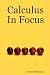 Calculus In Focus