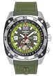Torgoen Swiss Professional Pilot Watch - T07303