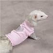 Biddie Buddies Ferret Rhinestone Tee Medium Pink